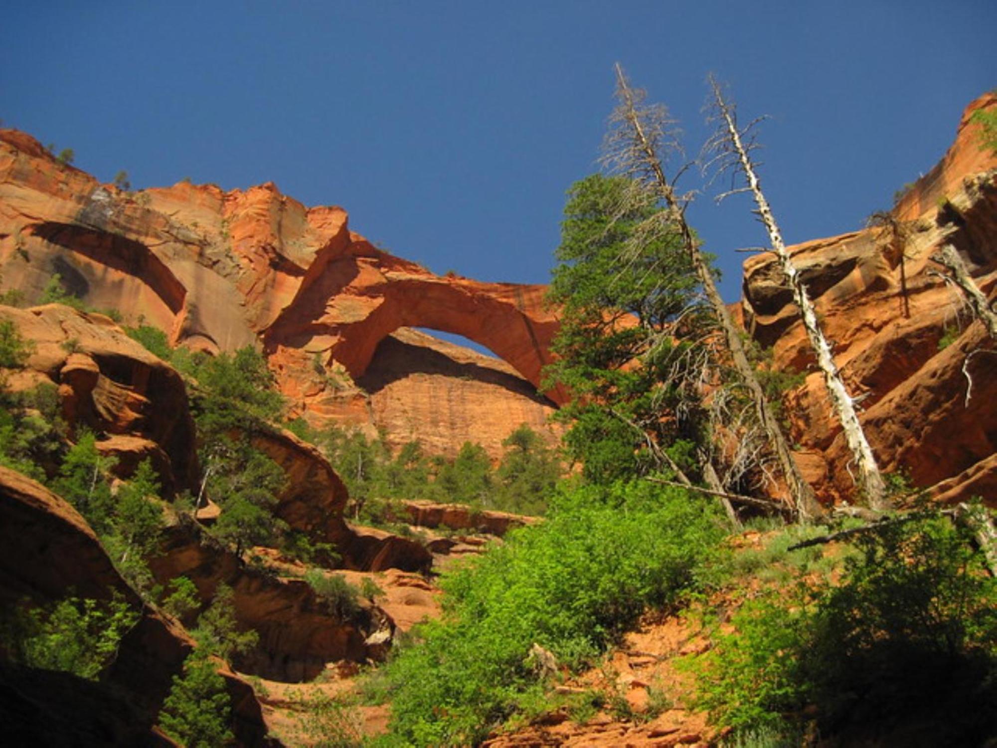 Holiday Inn La Verkin - Zion Park By Ihg Luaran gambar